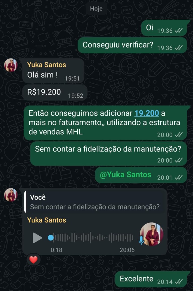 Imagem do WhatsApp de 2025-11-17 à(s) 15.55.39_c9a94fd8